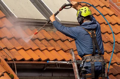 Démoussage et hydrofuge de toiture à Mably